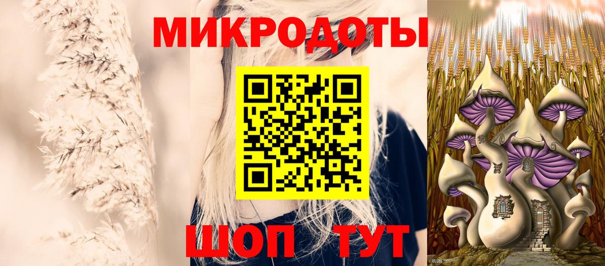 Псилоцибиновые грибы Psilocybe Тейково