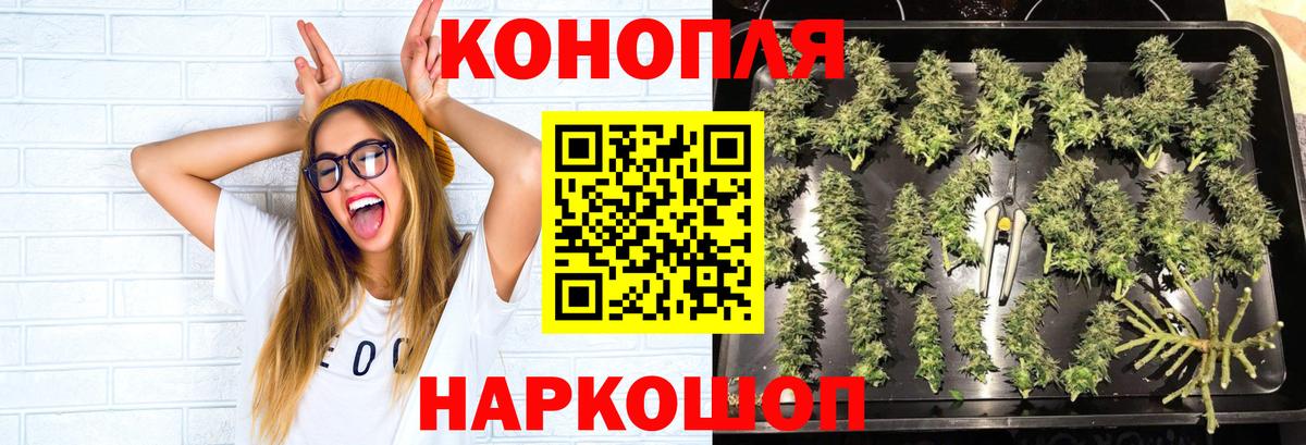 Канабис Bruce Banner  Вход с VPN  Марихуана ГИДРОПОН  Тейково 